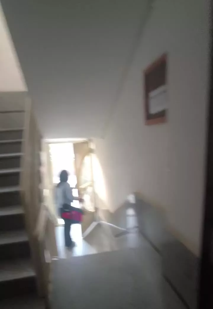 هم‌کف بر محور میانی بهارستان