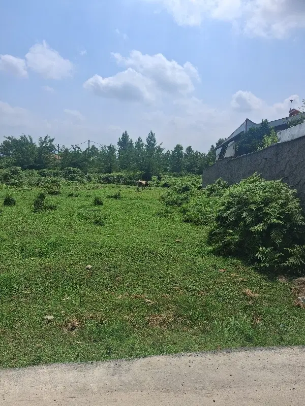 زمین تمام مسکونی جای خوب نزدیک خیابان اصلی