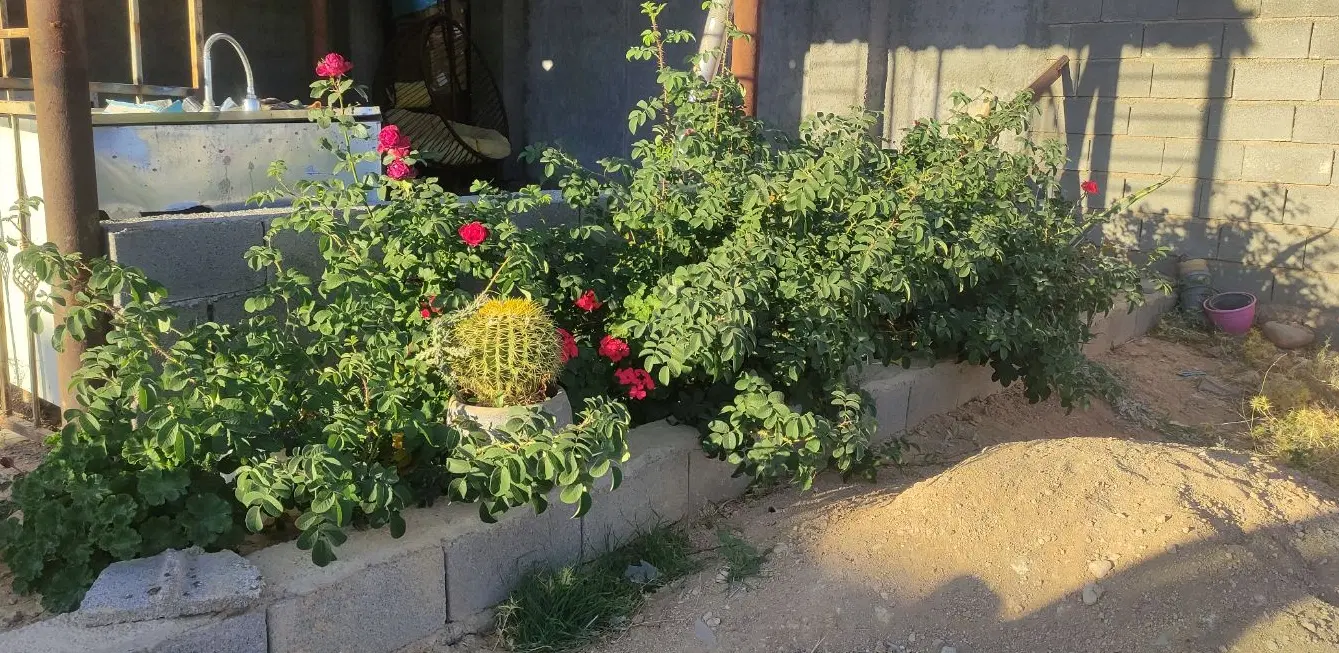 باغ شهر ۱۰۰۰ متری