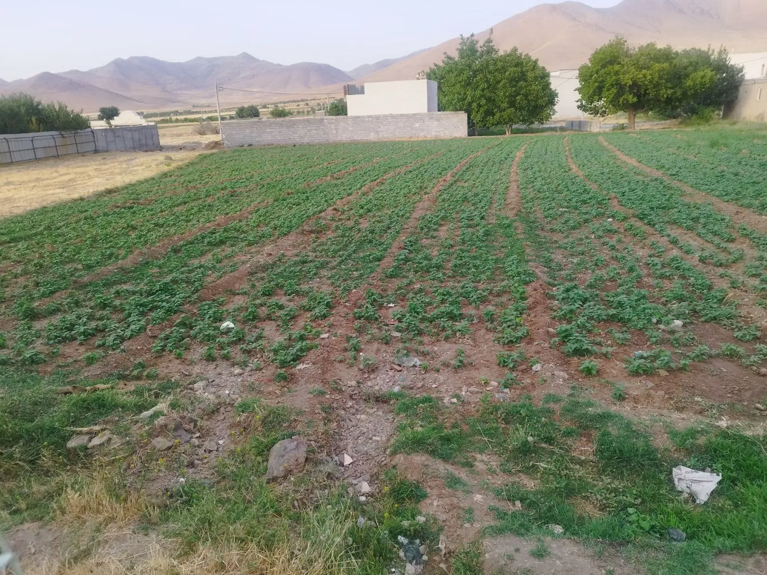زمین طرح هادی عقیل آباد