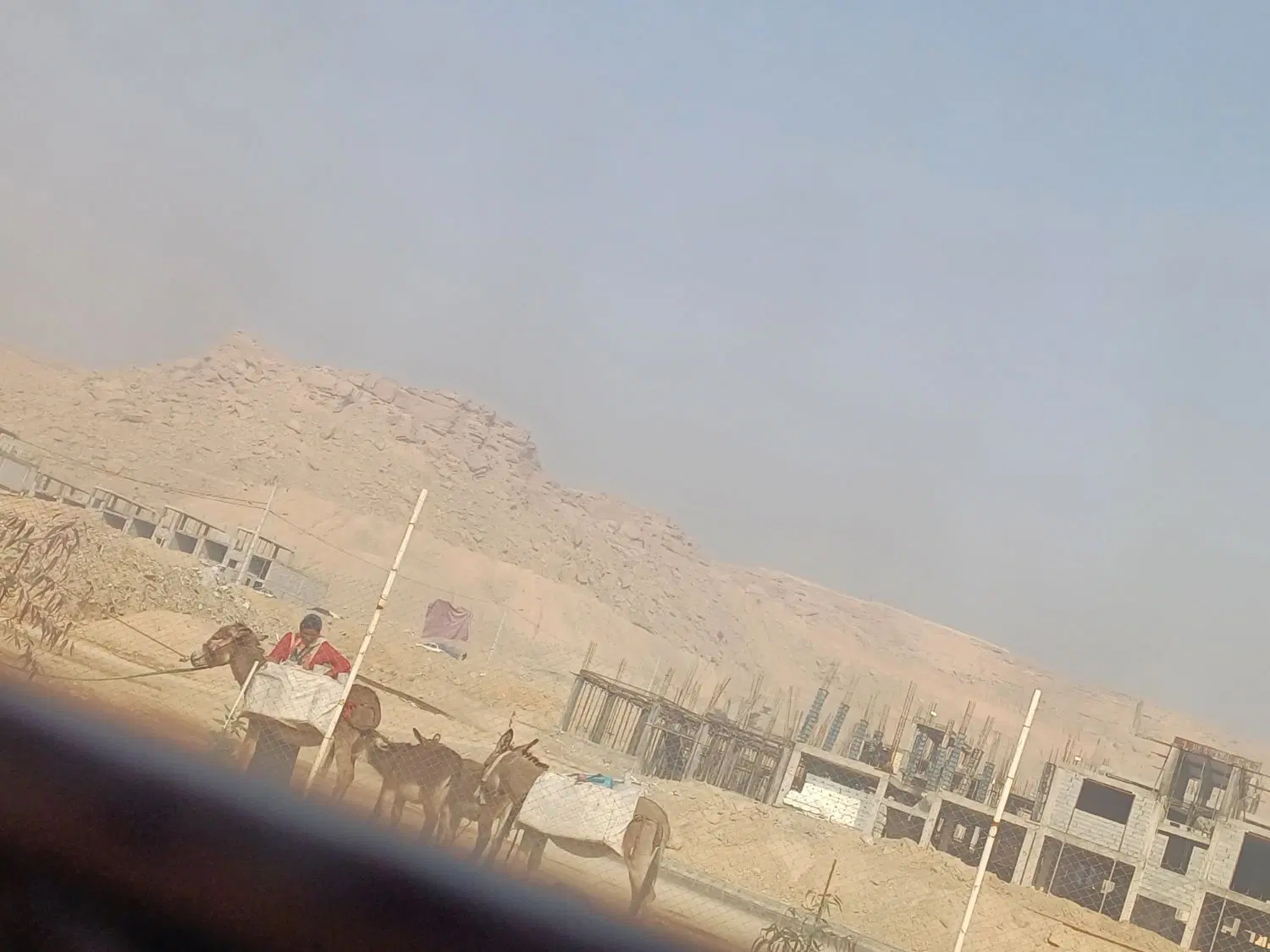 زمین