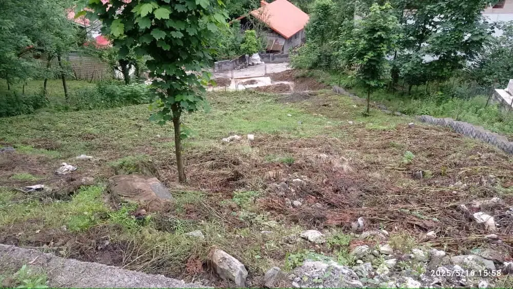 زمین مسکونی جنگلی سیاهکل با سند و جواز ساخت