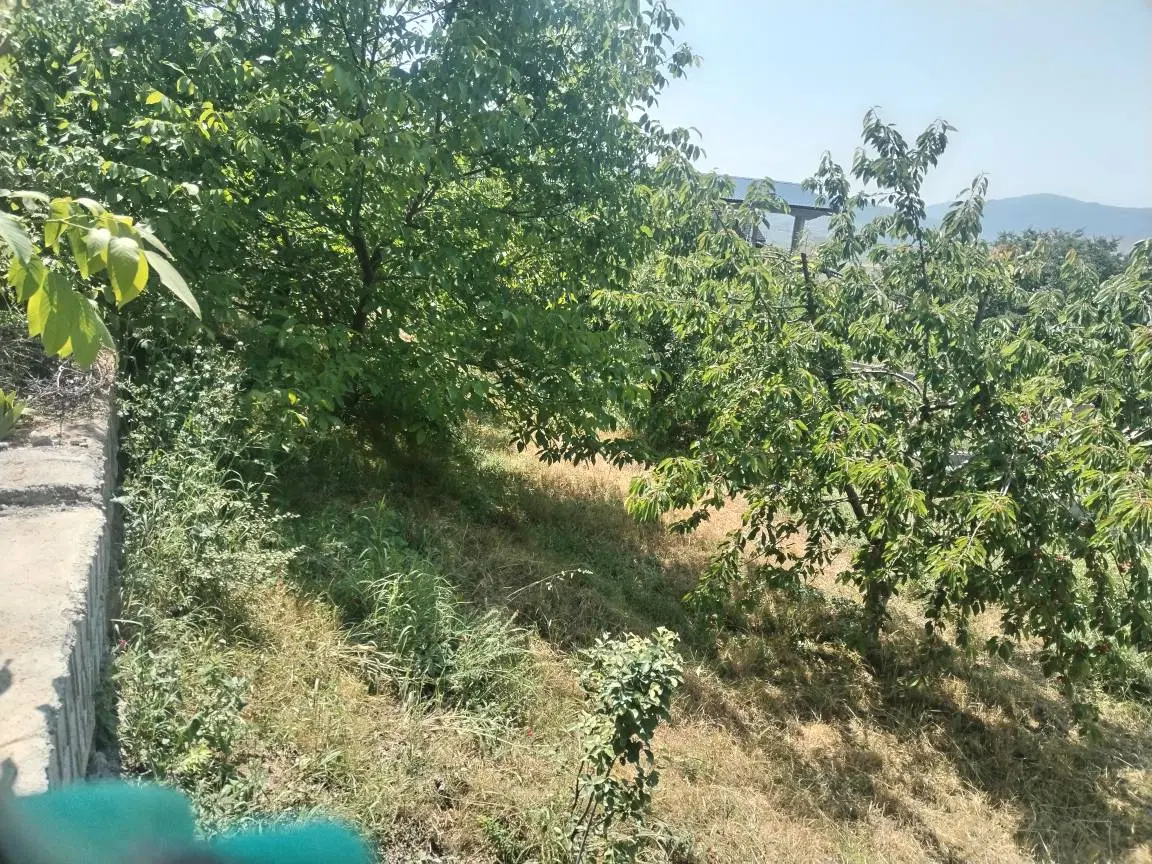 فروش زمین مسکونی