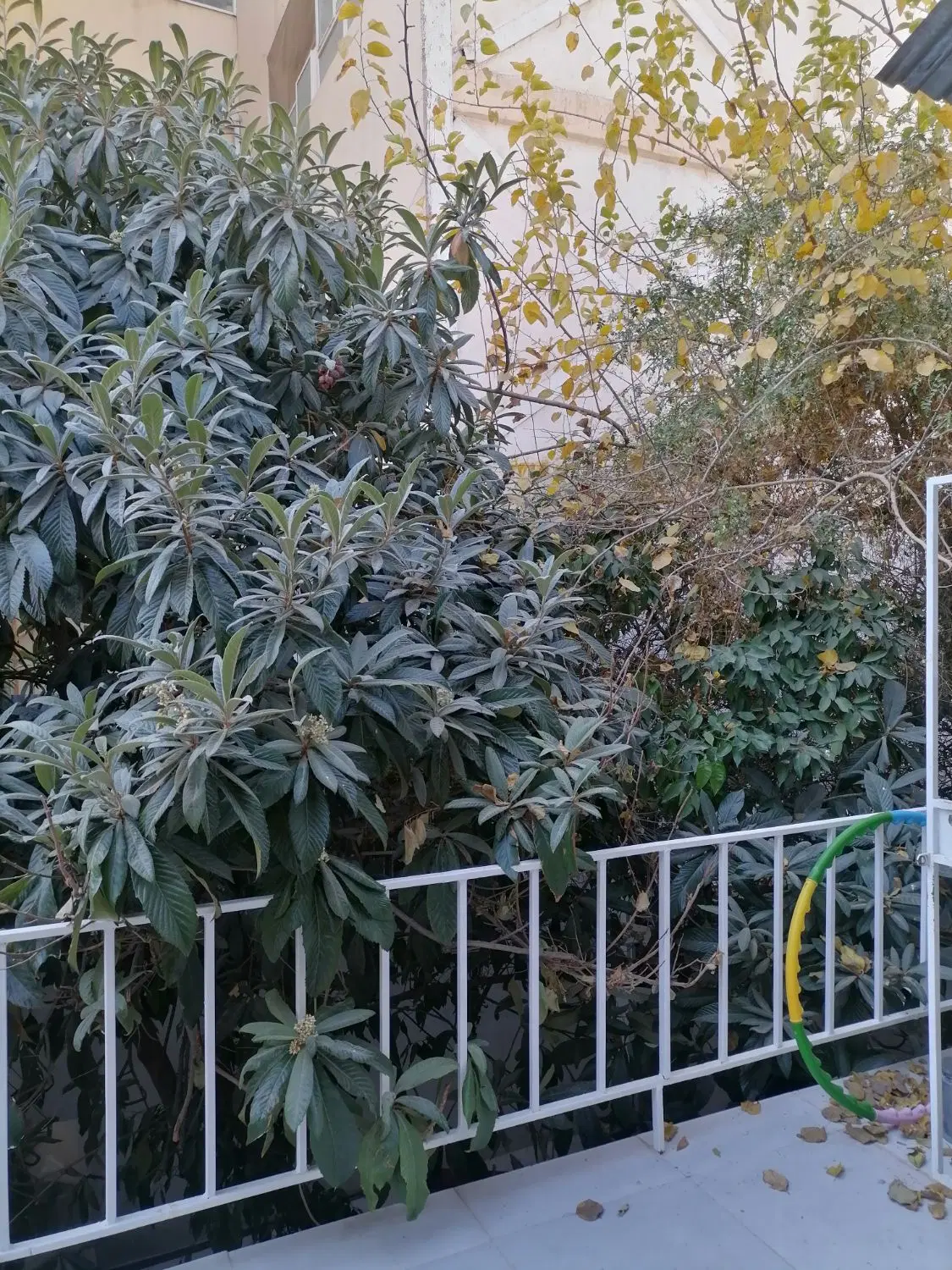 لوکیشن قصرالدشت سینما سعدی