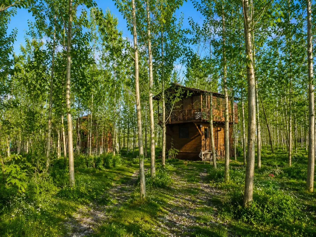 ویلای دنج_دنیایی از حس خوب
