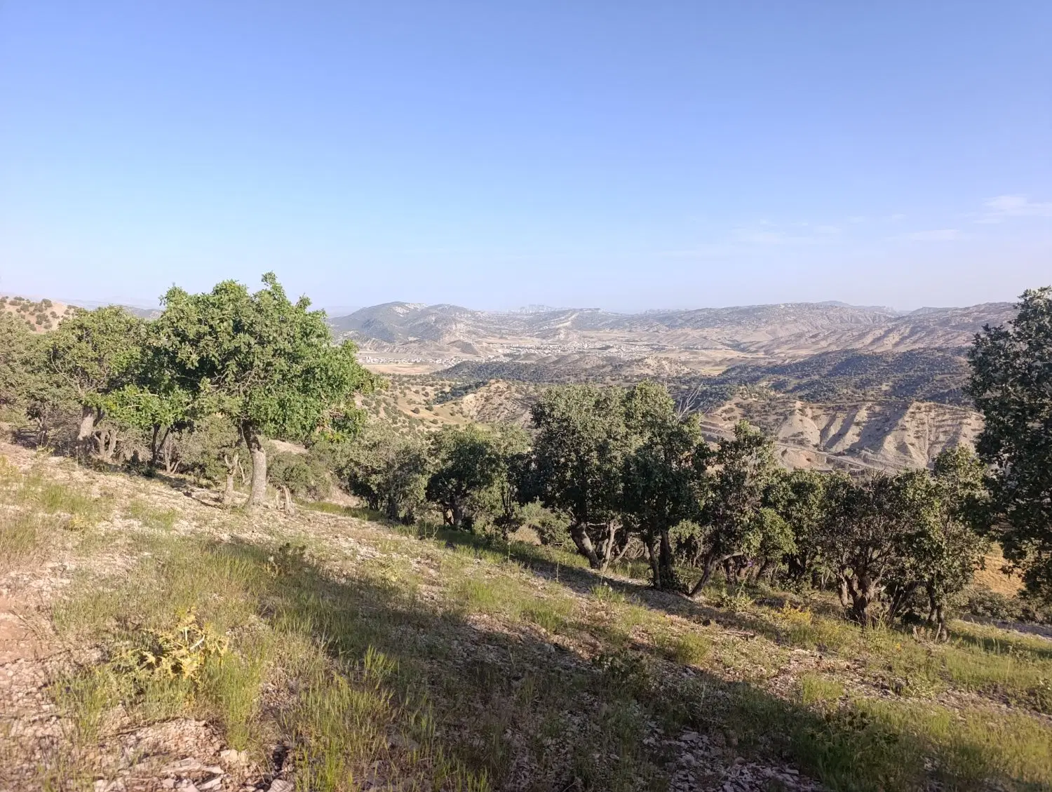 زمین مسکونی