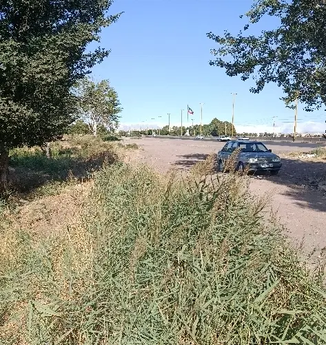زمین زاراعی