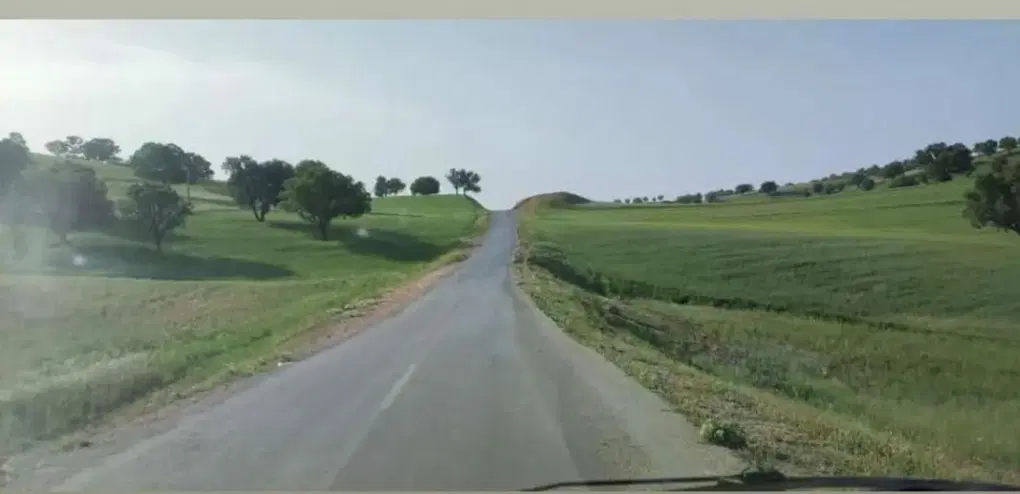 زمین تجاری