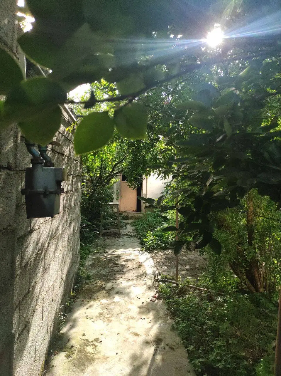 بنظرم خونه باغ نیست جواهری توی دل شهر محموداباد