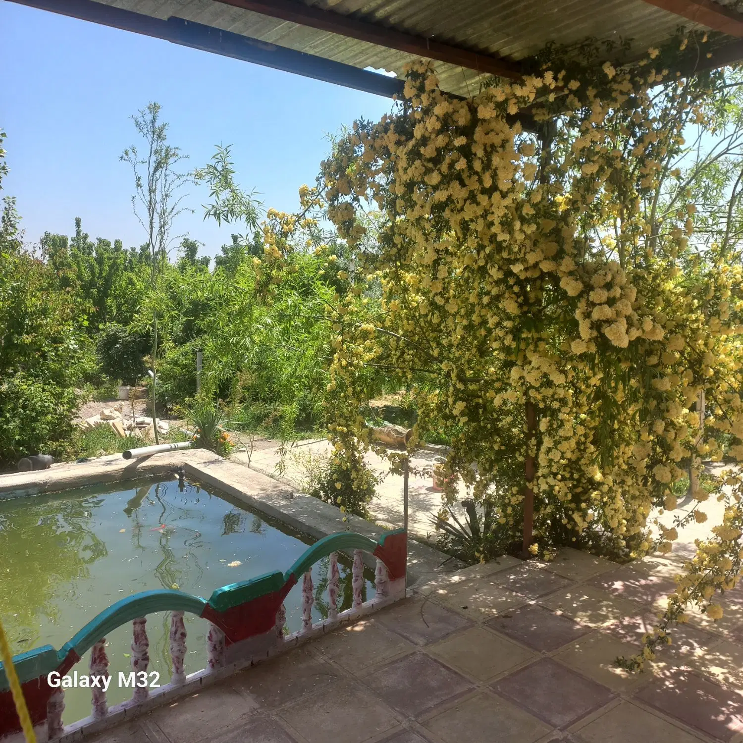 باغ وویلا فروشی  آرامگاه فردوسی شاهنامه ۶۹