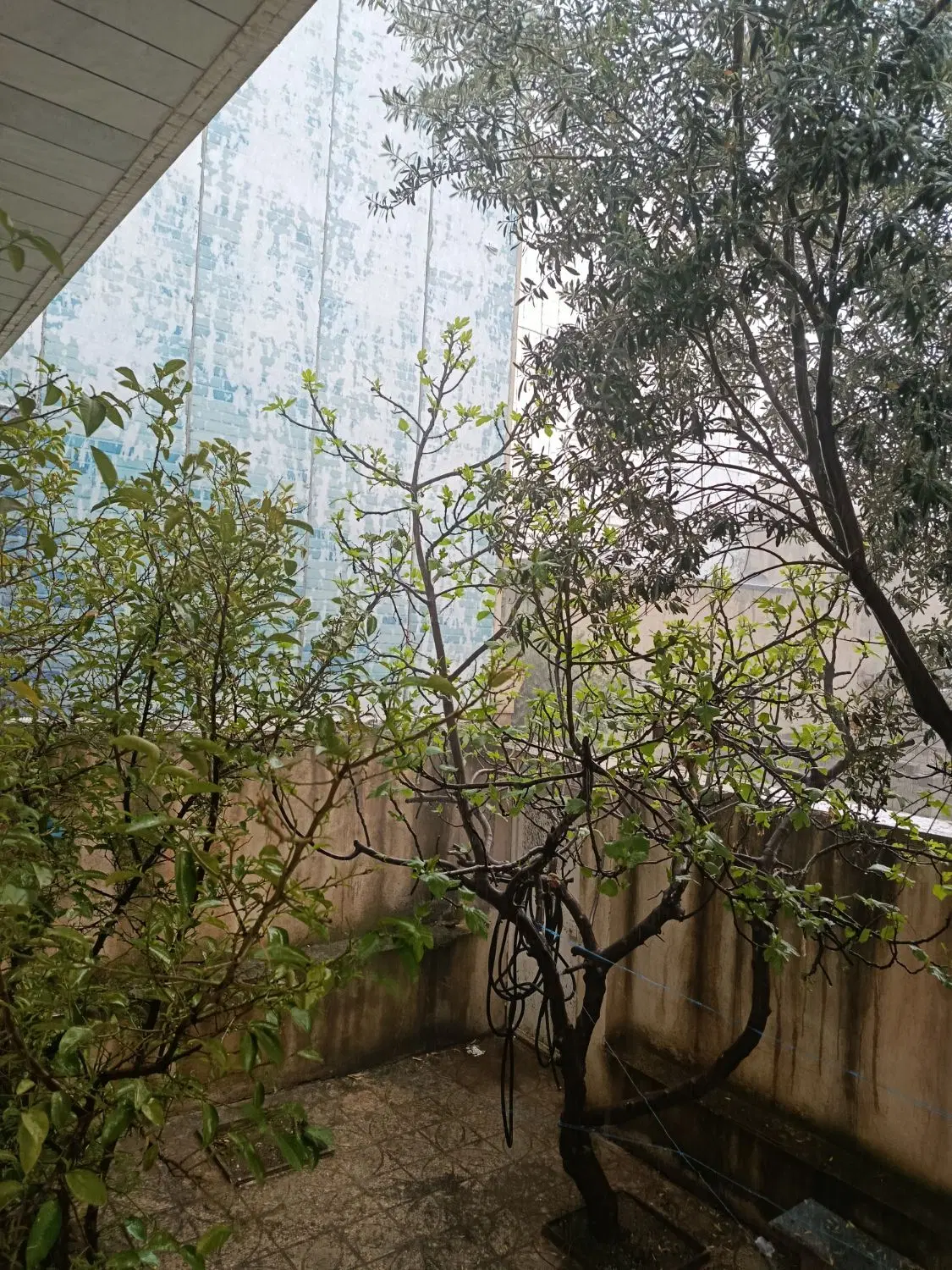 خانه قدیمی