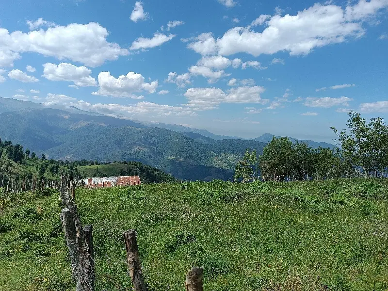 زمین ییلاقی