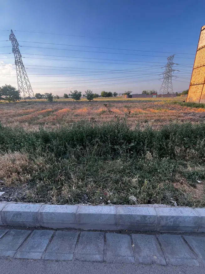 زمین گلشاد مهرمادر