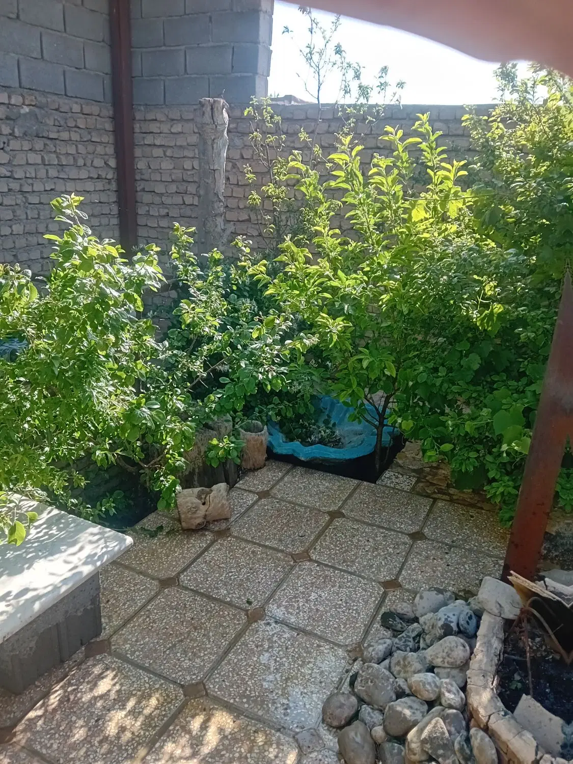خانه