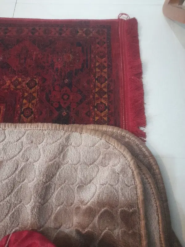 همخانه ممنون