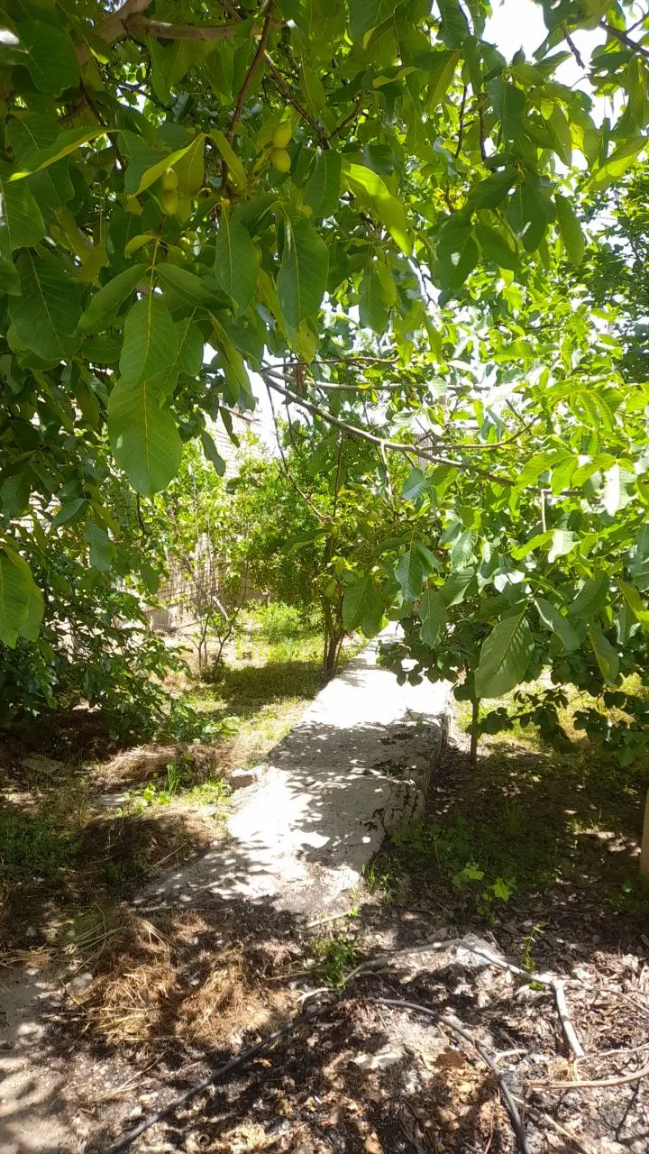 فروش زمین مسکونی