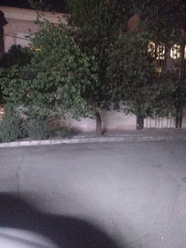 زمین قولنامه ای