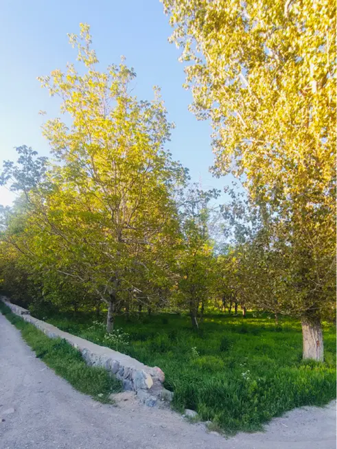 باغ سند ششدانگ هروی(هربی)