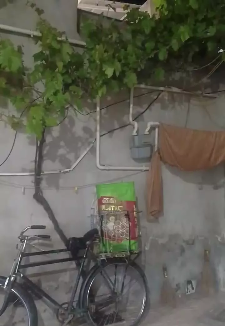حیات۹۳متربا ستون ها با دو واحد همکف آشپزخانه جدا