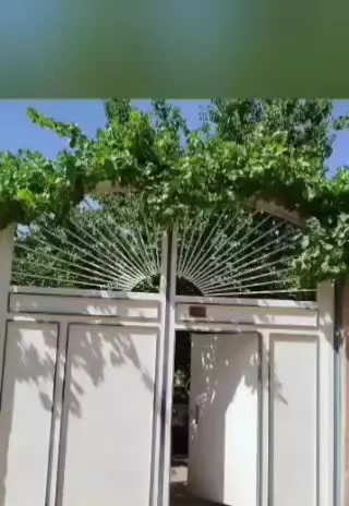 باغ شهری عفیف