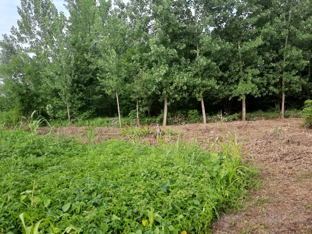 زمین در سراوان رشت،۲۷۰۰ متر*۲۰۰۰کشاورزی ۷۰۰کاربری*