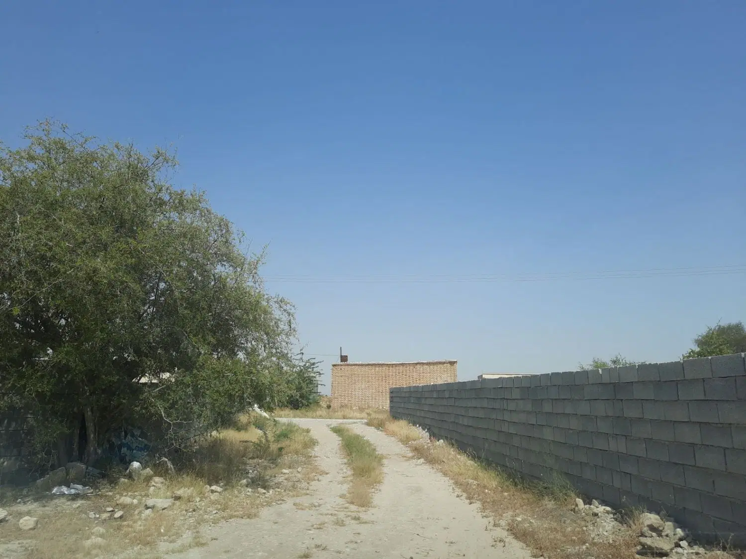 زمین ۶۰۰ متری تازیان بالا