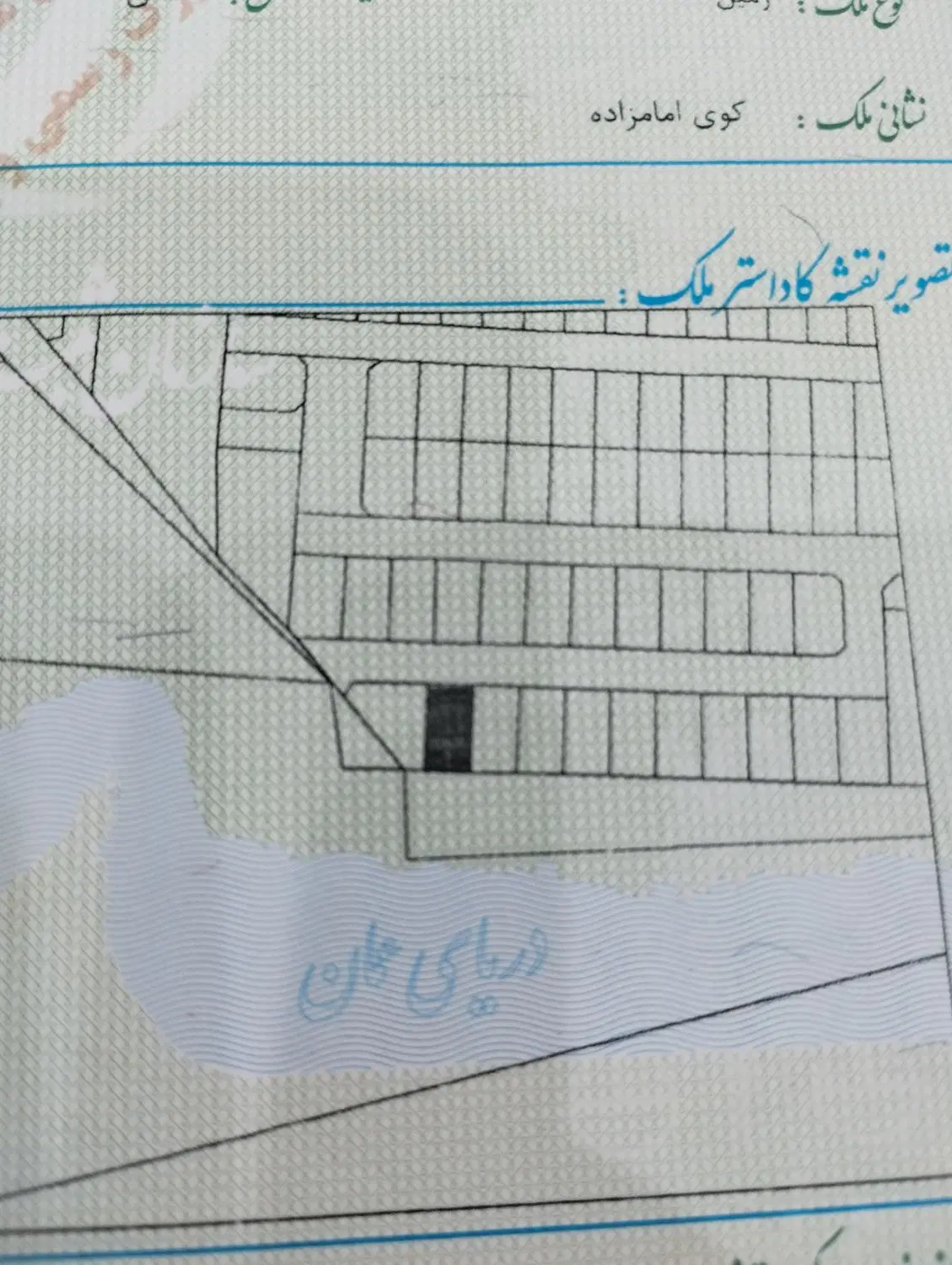 زمین پردیسان پشت تالار دریالان