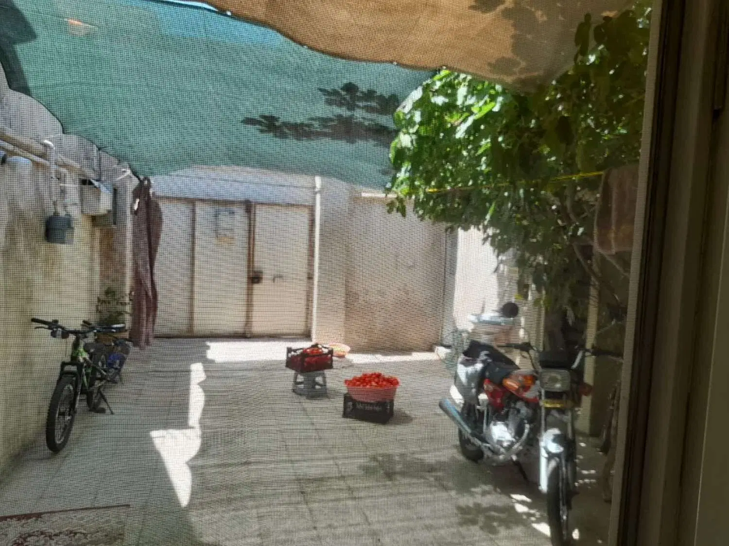 ویلایی شمالی