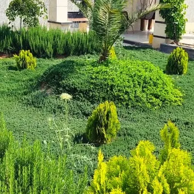 زمین سند شش دانگ