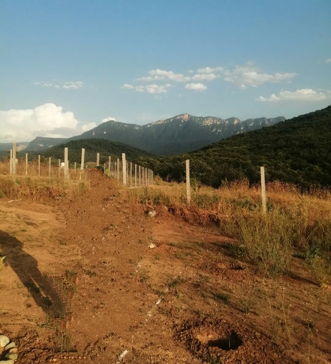 فروش زمین باغی