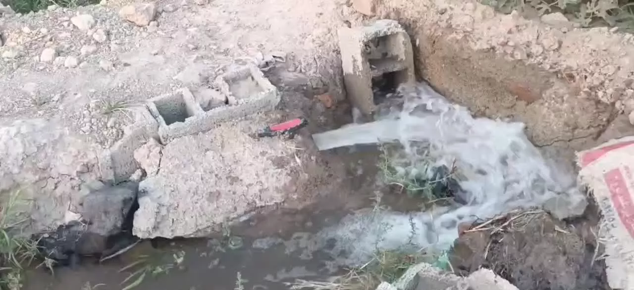 باغچه، باغ ، زمین