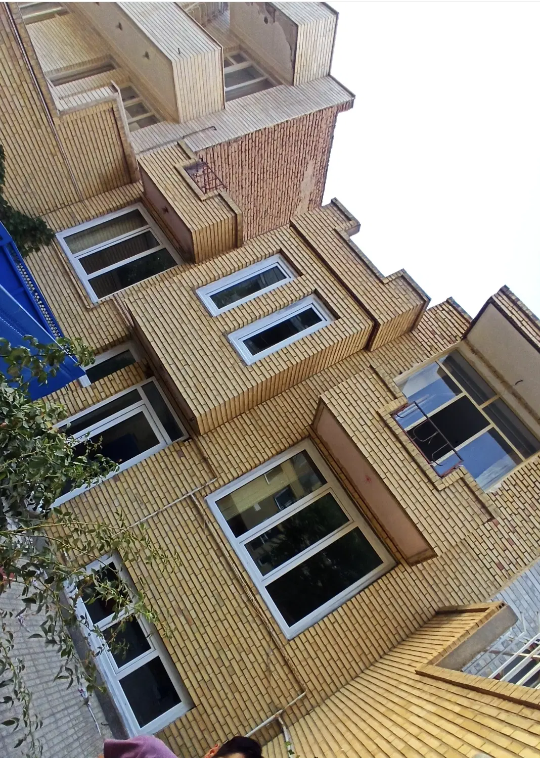 اجاره حیاط دربست زعفرانیه