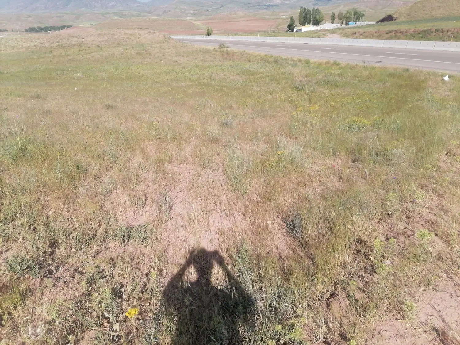 زمین ویلایی در روستای زیبای سرند