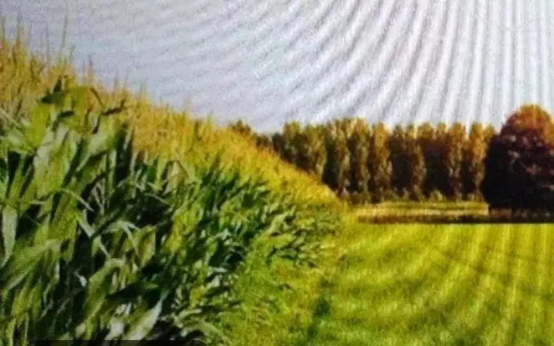 2 قطعه زمین ابولخیری سند دار