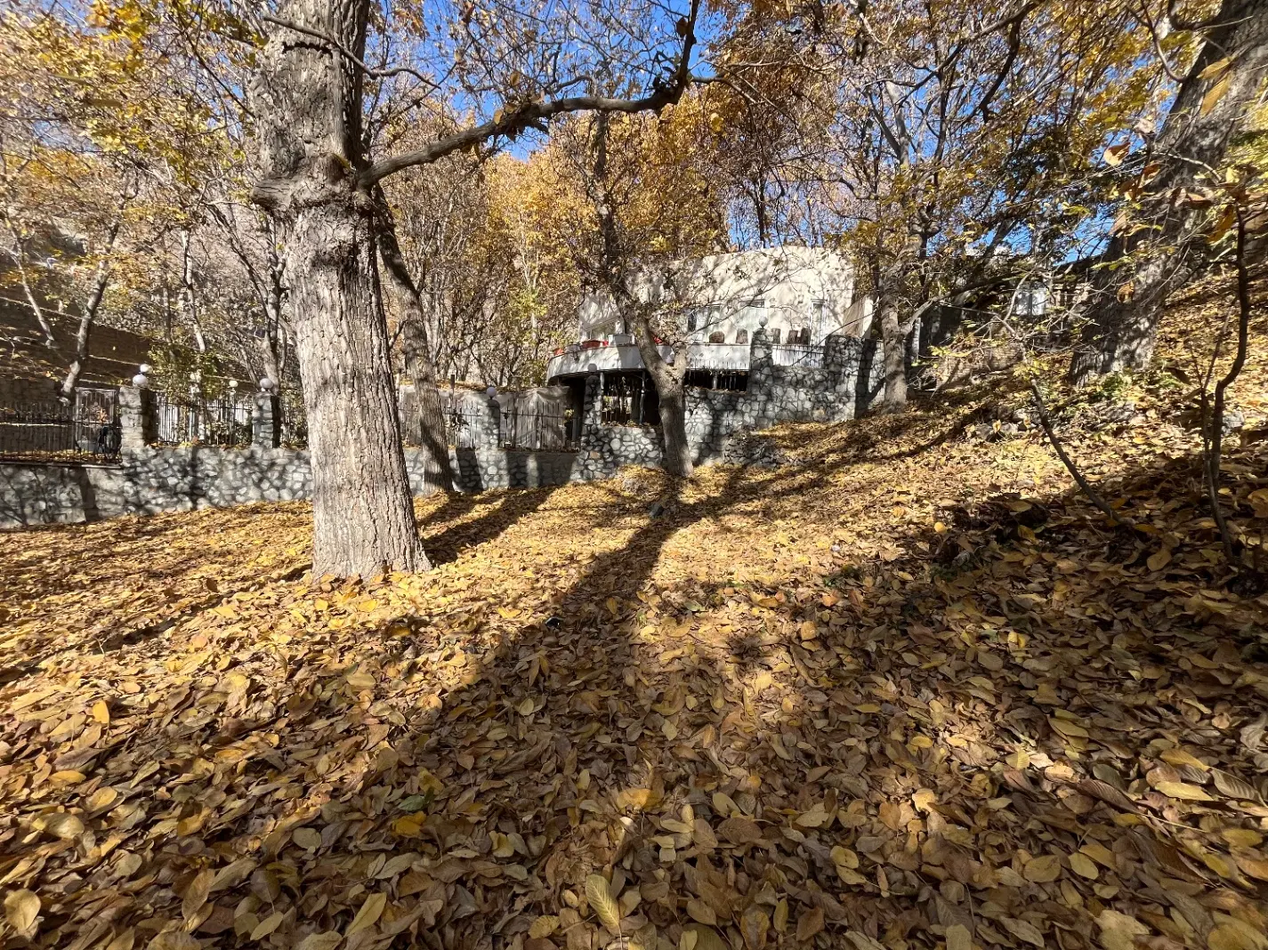 زمین ۸۰۰متر سند دار کنار رودخانه کردان سیباندره