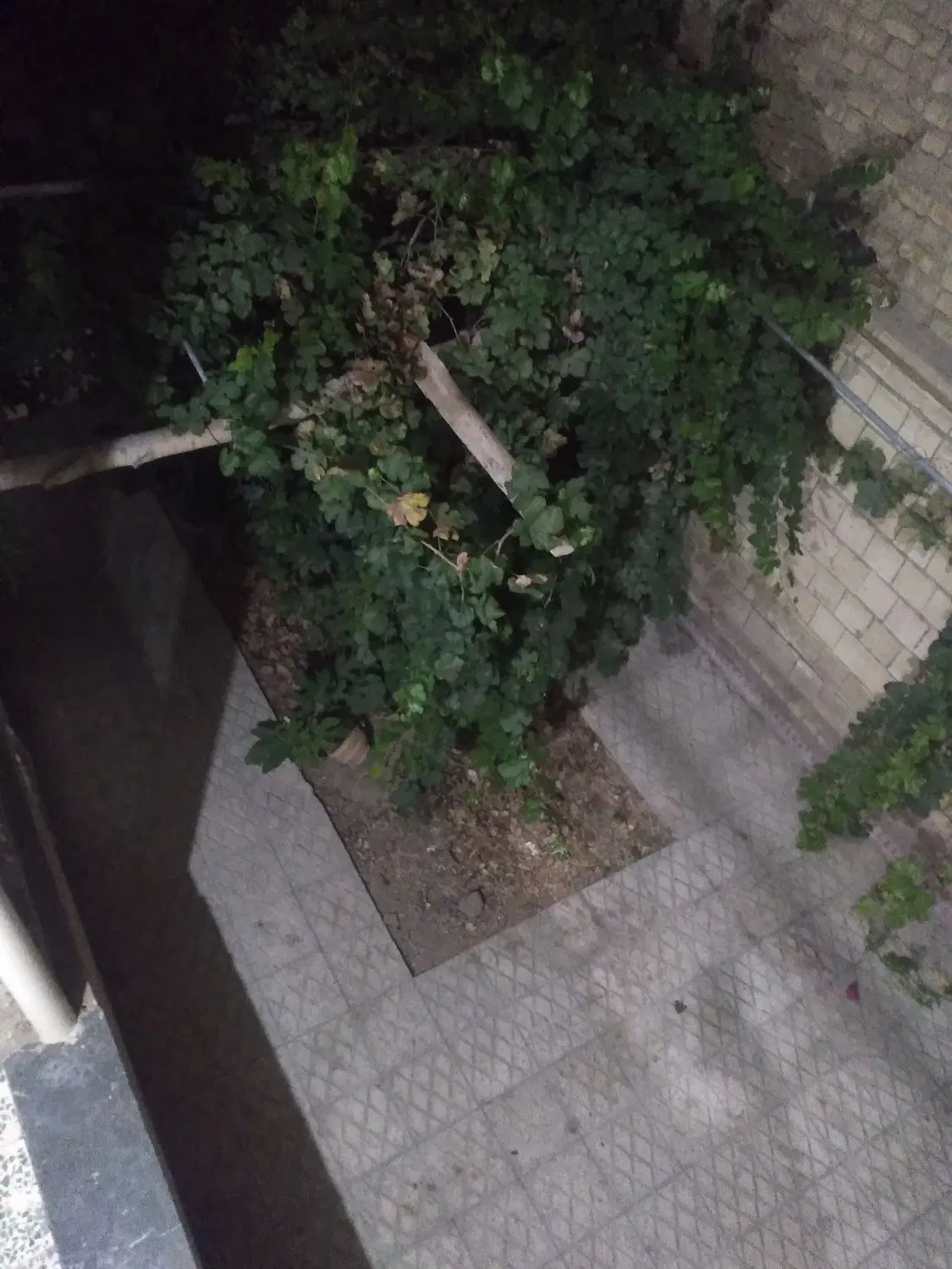 منزل اجاره ای چاووشی شهرضا