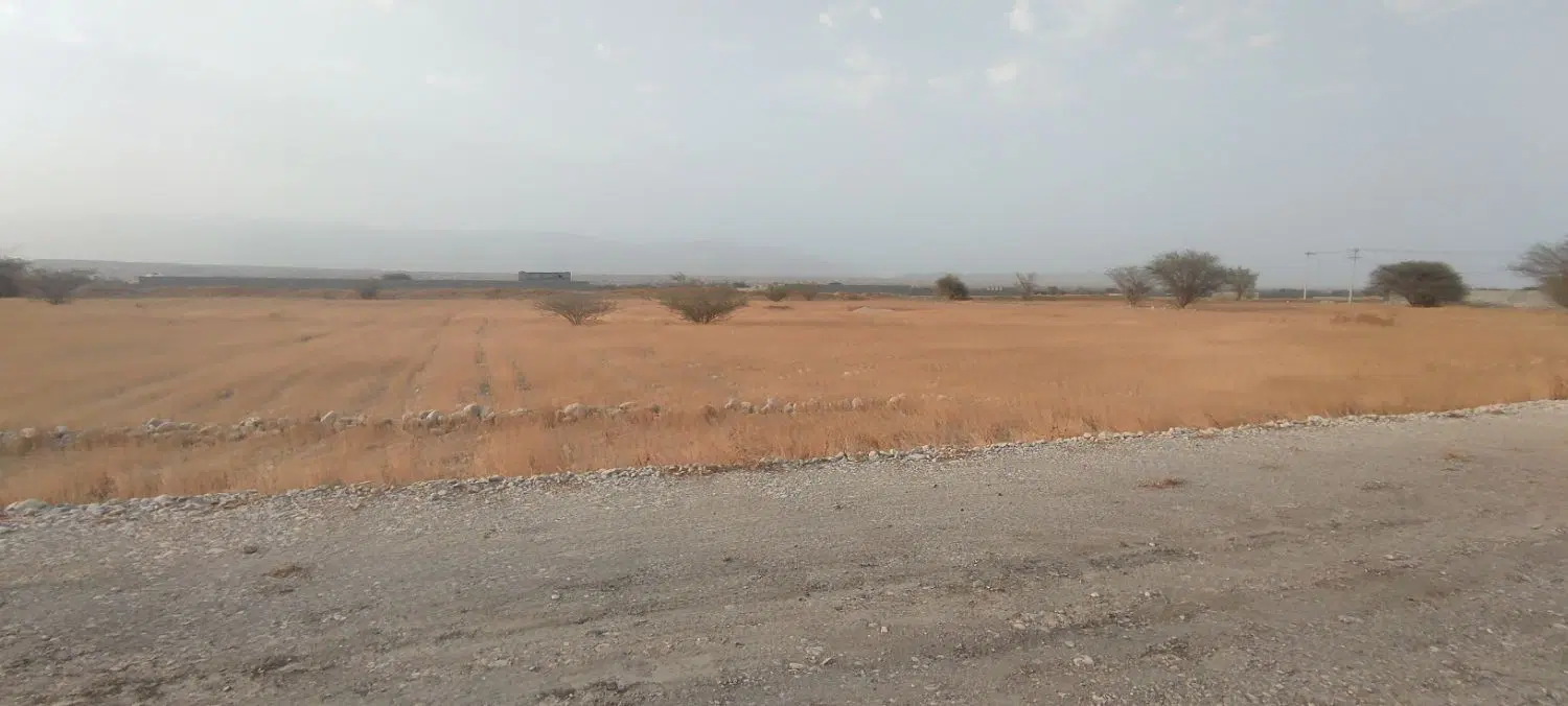 فروش زمین 1100متری چهچکور