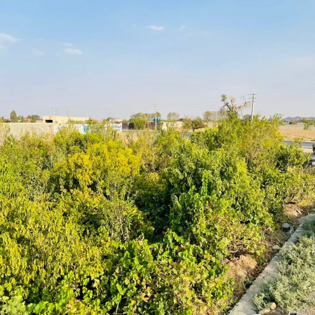 چهار دیواری از ۲۰۰ متر به بالا