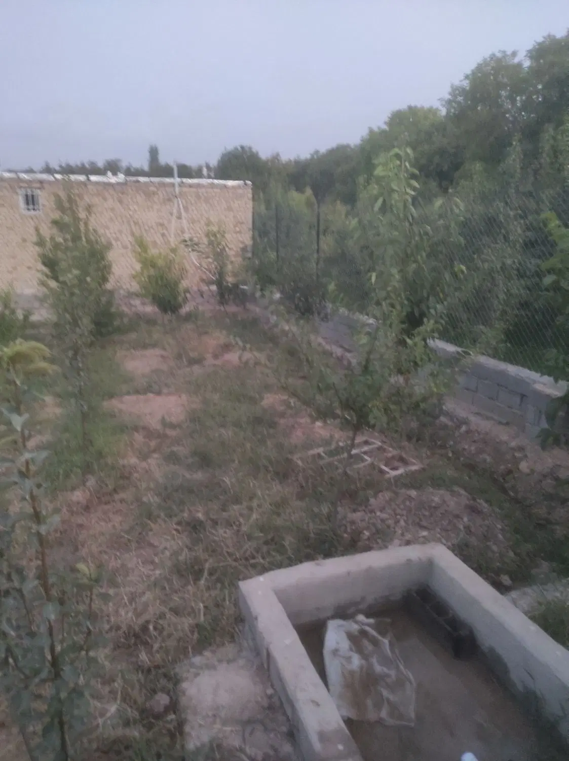 باغ دوراهی بش قارداش
