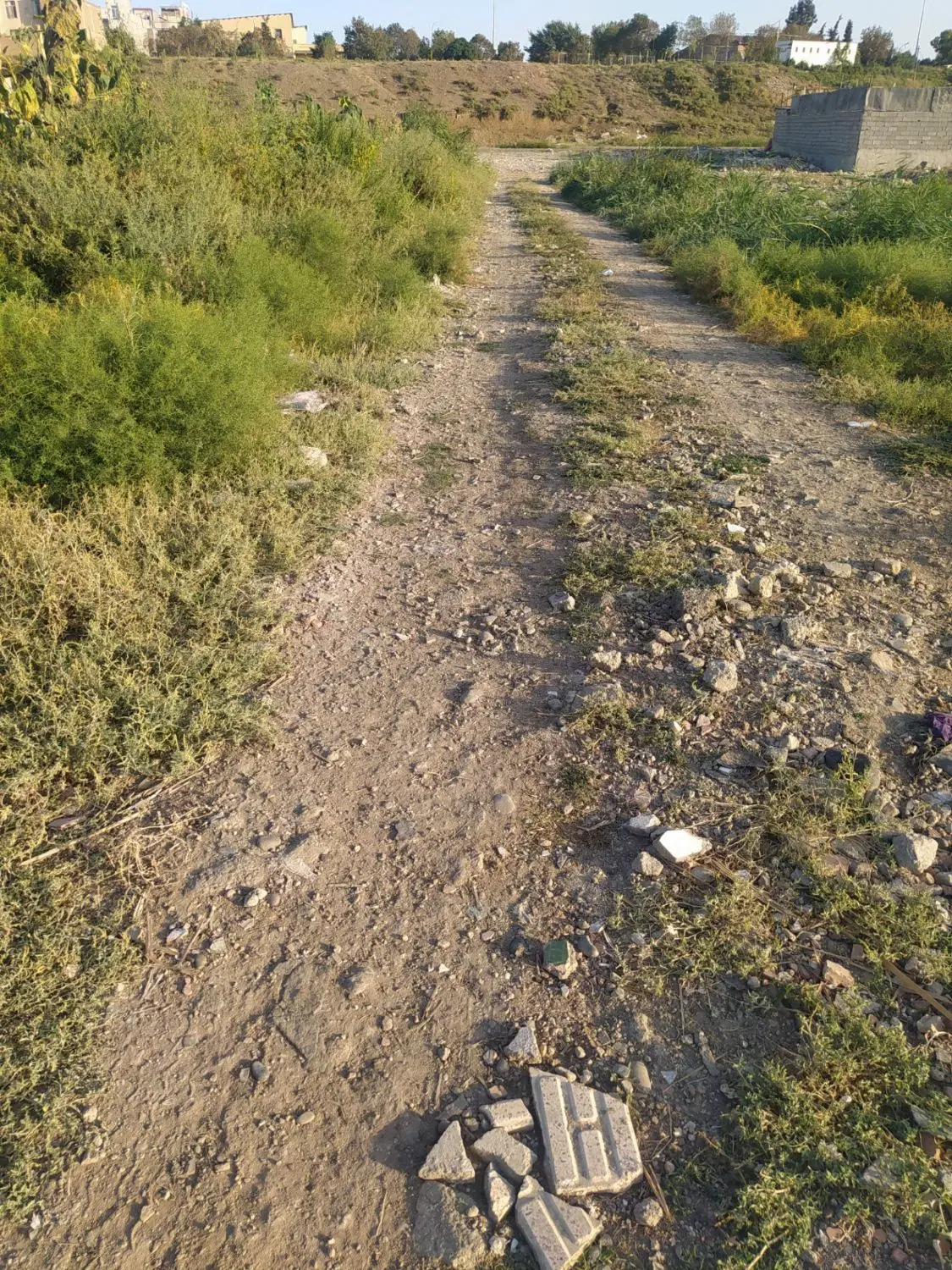 زمین‌مسکونی