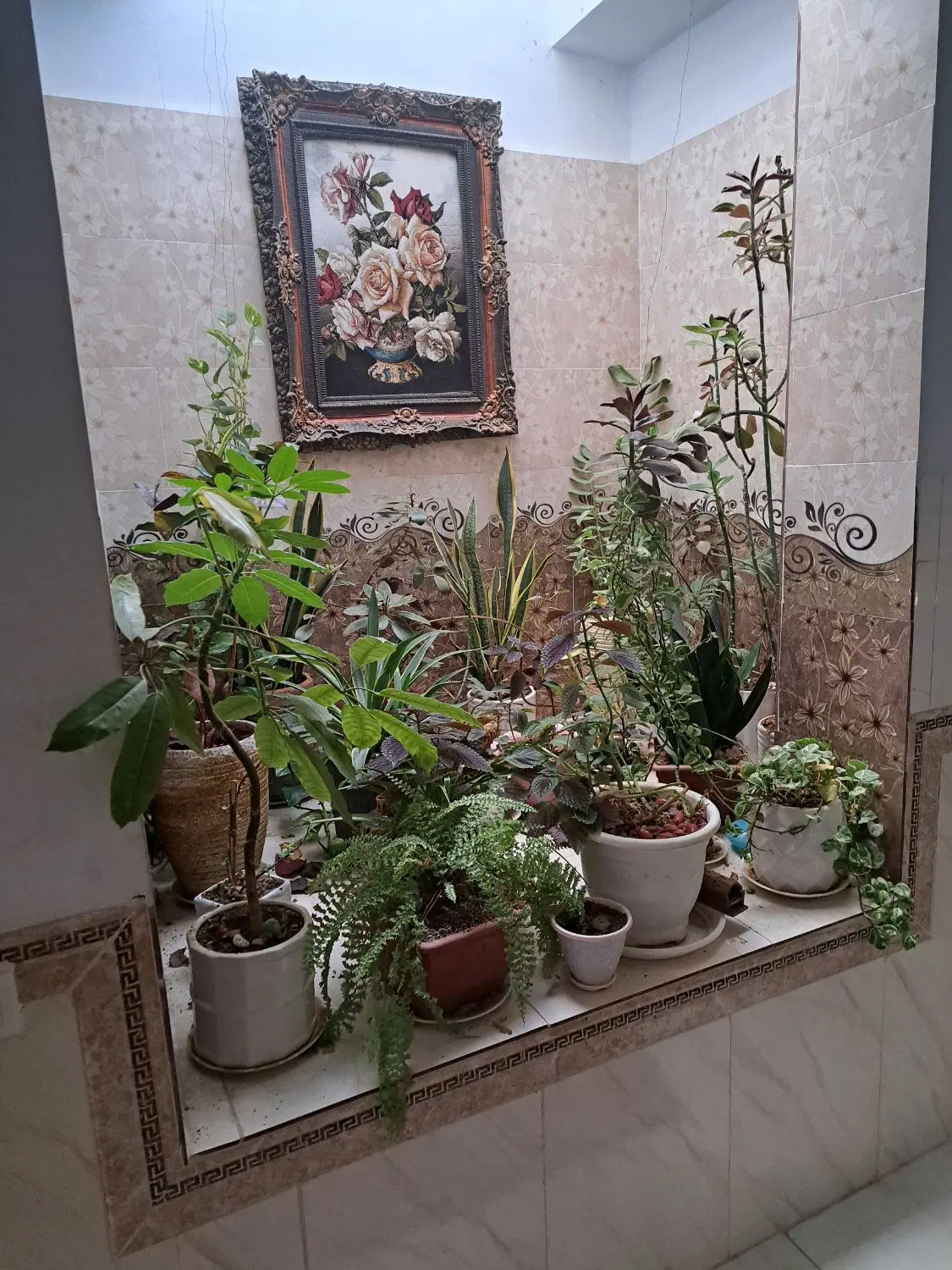 خانه ویلایی داخل بافت