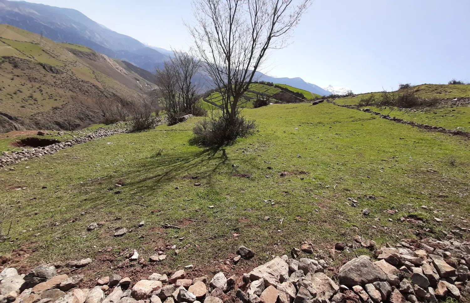 ۷۲۴ متر زمین