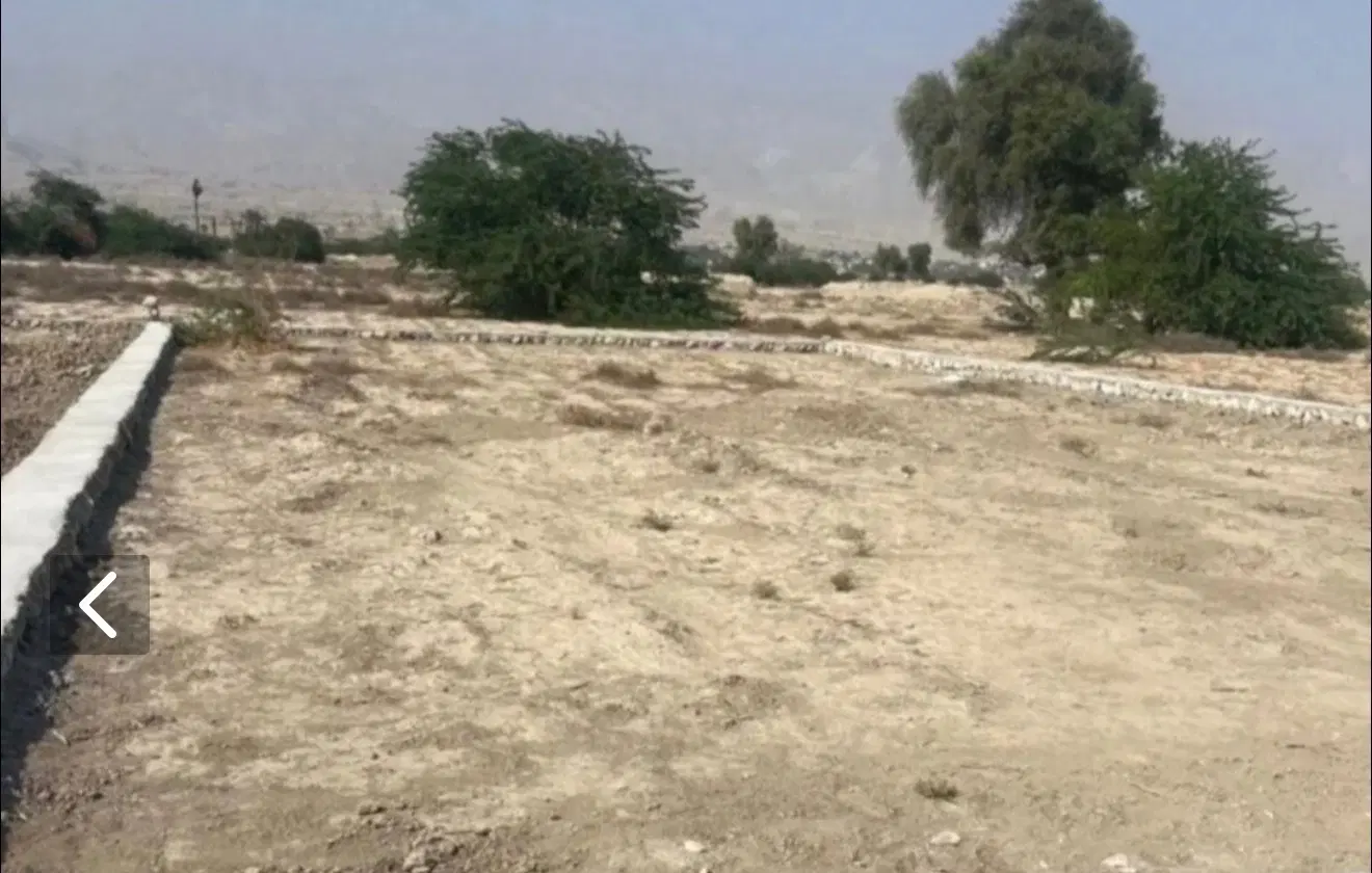 زمین تازیان ۱۰۰ مترتجاری