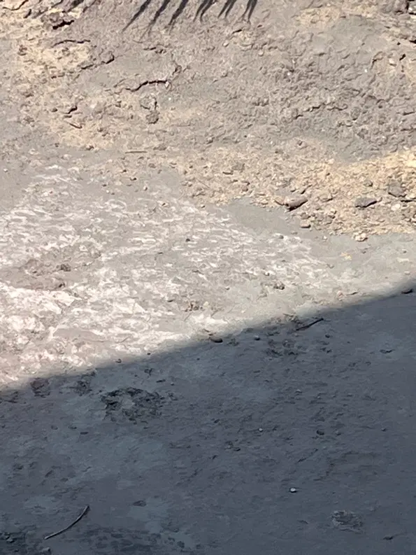 زمین خیابان مرودشت اباده