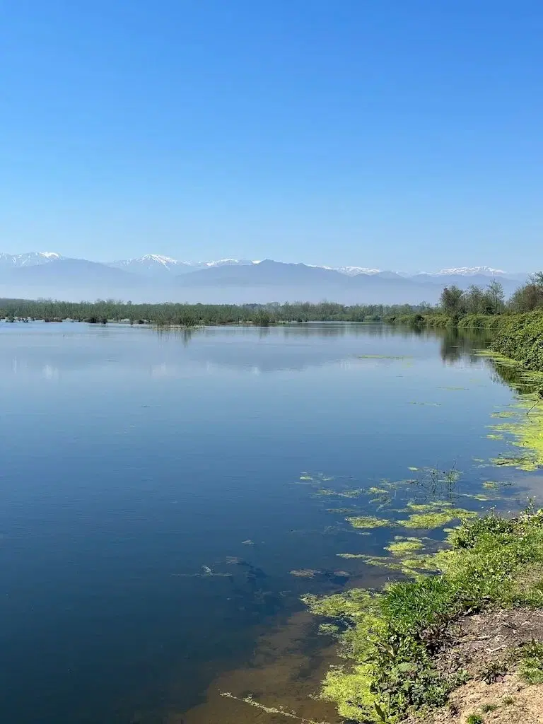 ۳۸۸متر(مسکونی)
