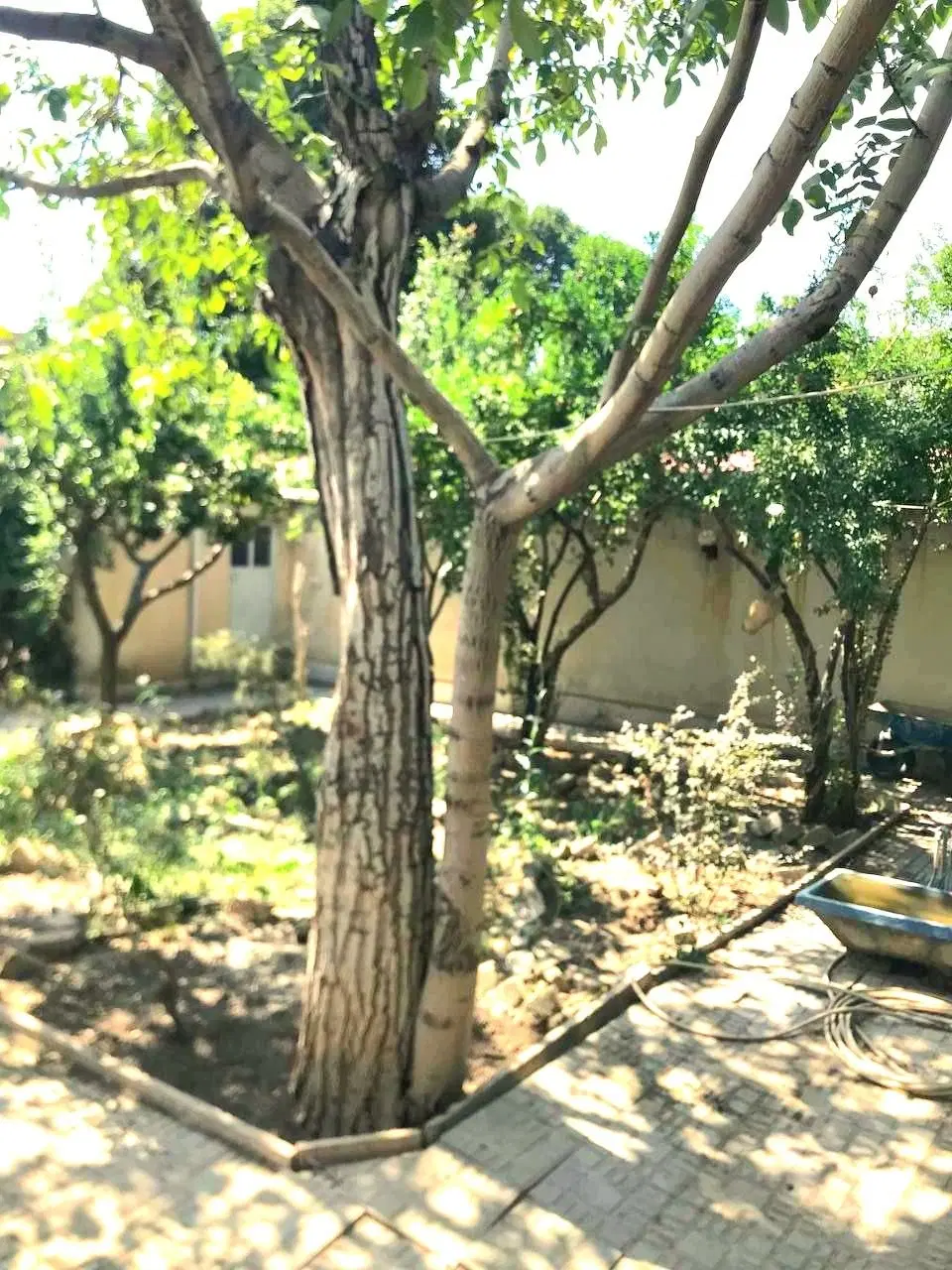 ملک ۴۲۵ متری_۲۷۰ متر بنا_مناسب ساخت و قابل بازسازی
