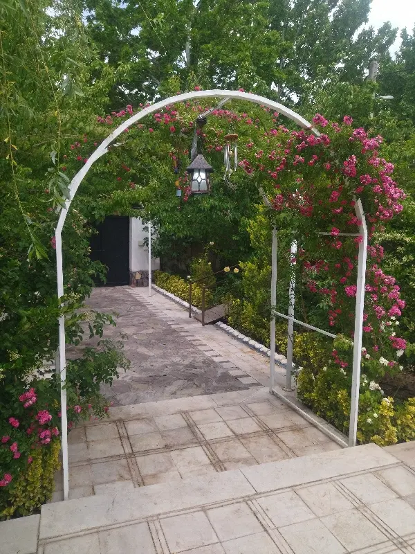 ۲۰ قصب زمین کوهپایه