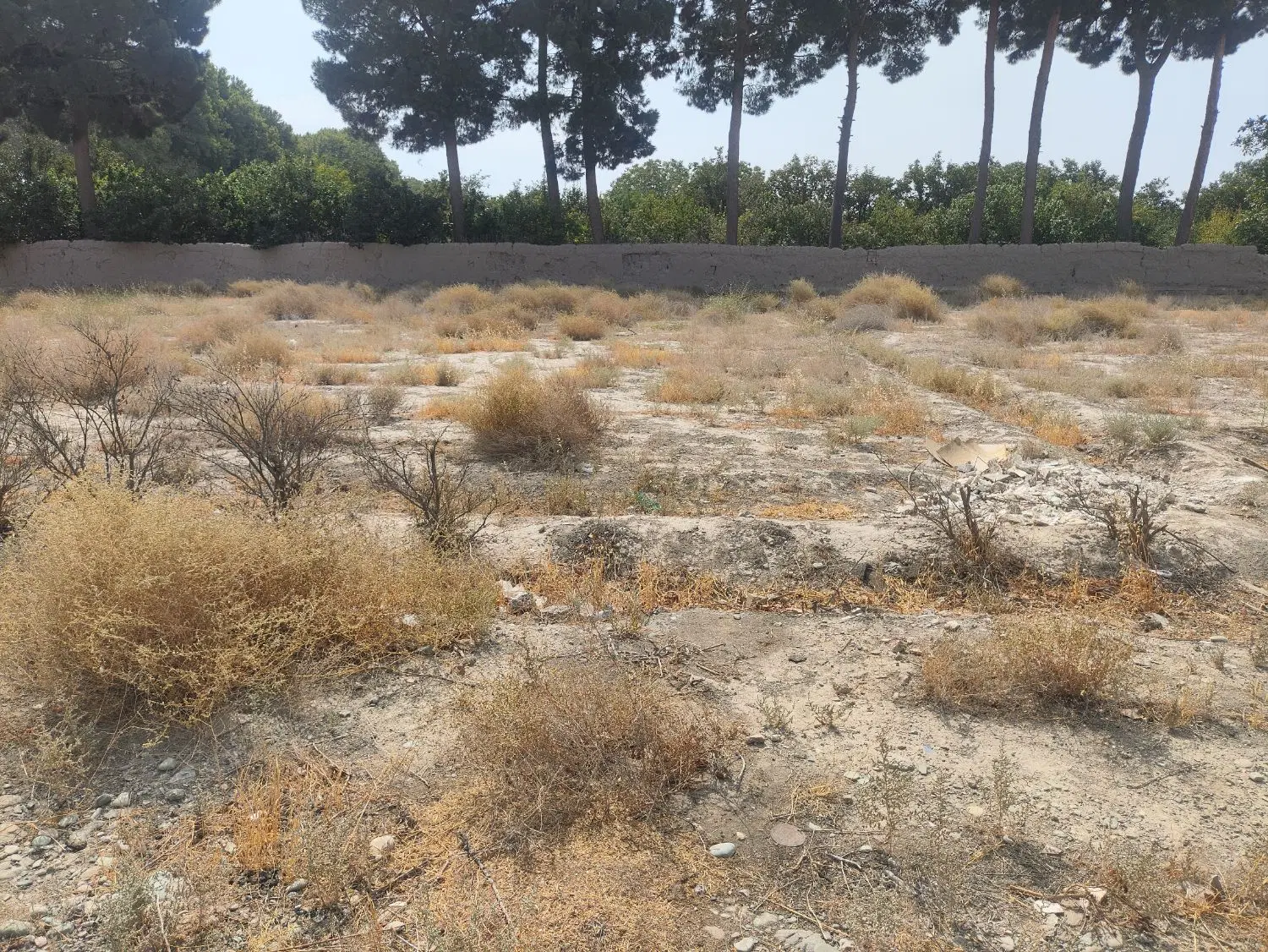 فروش زمین 1035 متری سند تک برگ