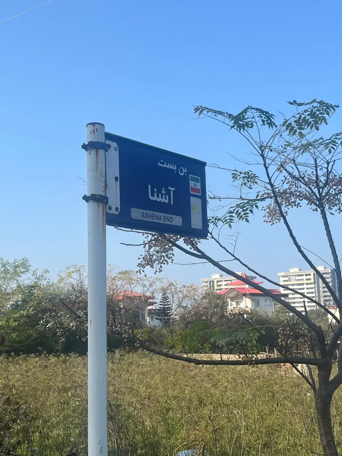 زمین ۲۶۰ متری با سند در نمک ابرود
