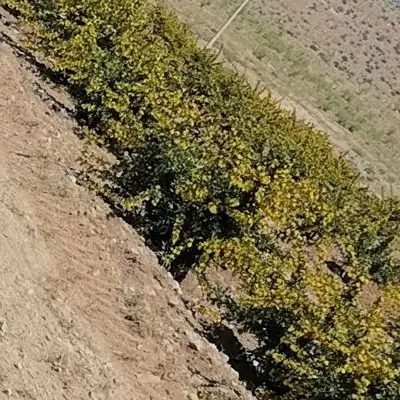 48 ساعت آب چاه کشاورزی